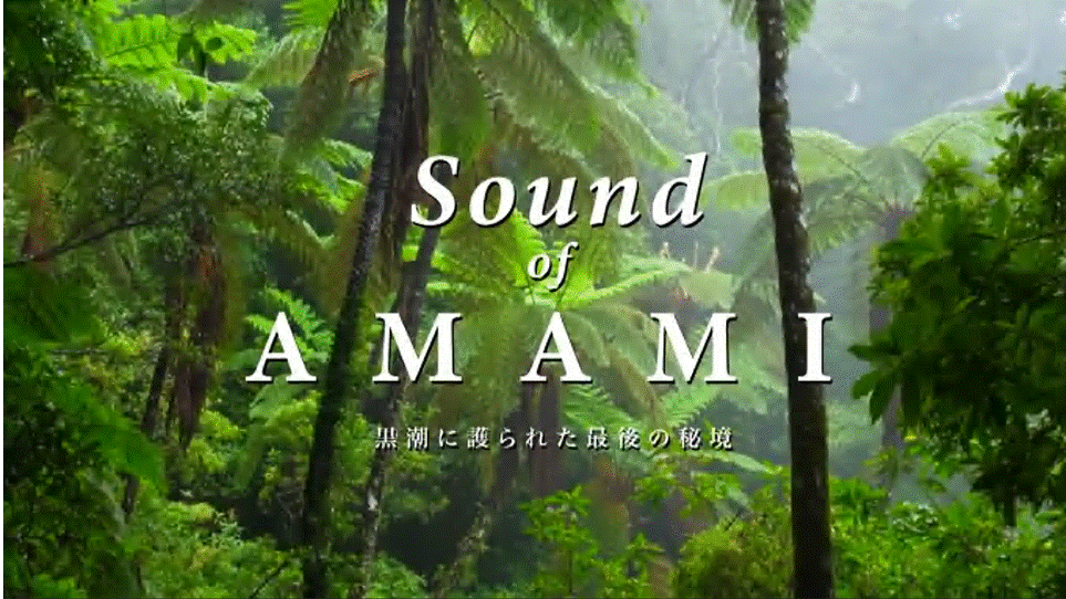 奄美群島ＰＲ動画「Sound of AMAMI」サムネイル