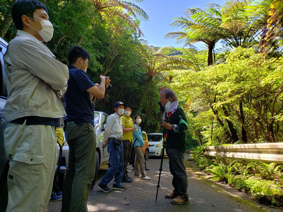 Participants listening to an explanation on a forest road