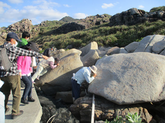 ムシロぜの岩を拡大鏡で観察する参加者