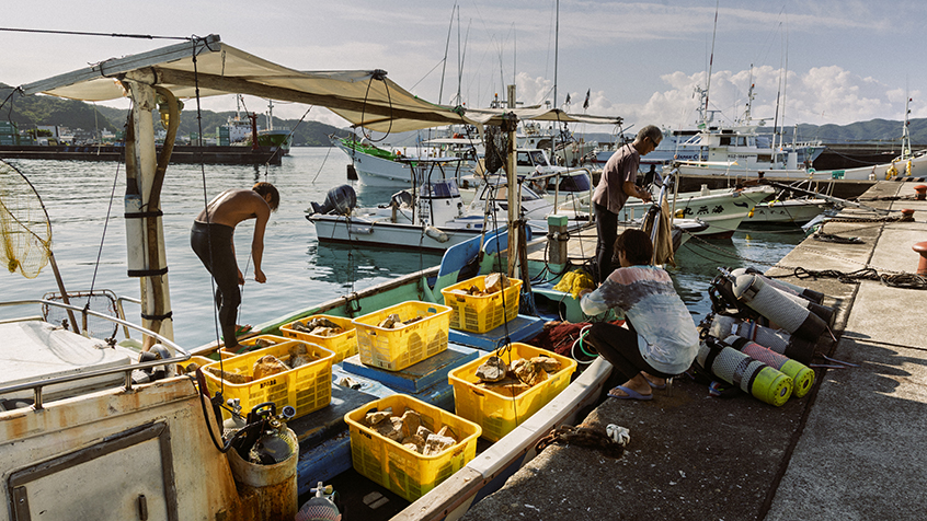 藻場再生に使う石が積まれたカゴが、船の上にいくつも並んでいて、男性３人が船の周りで準備作業をしている