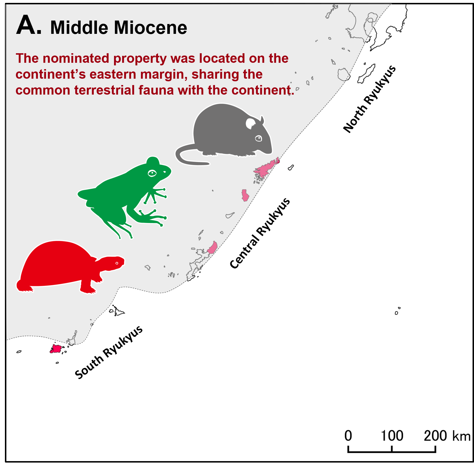 Before middle Miocene