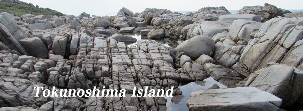 Tokunoshima Island