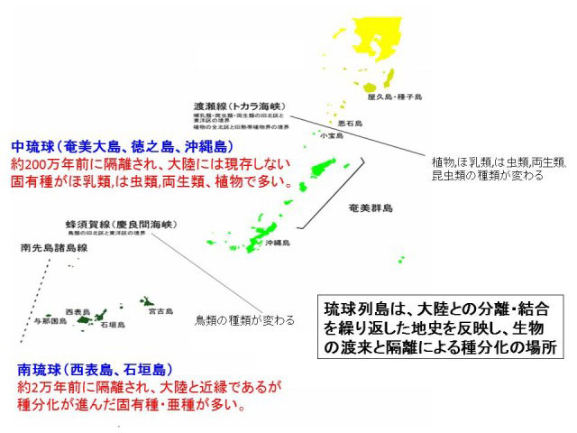 琉球の地史