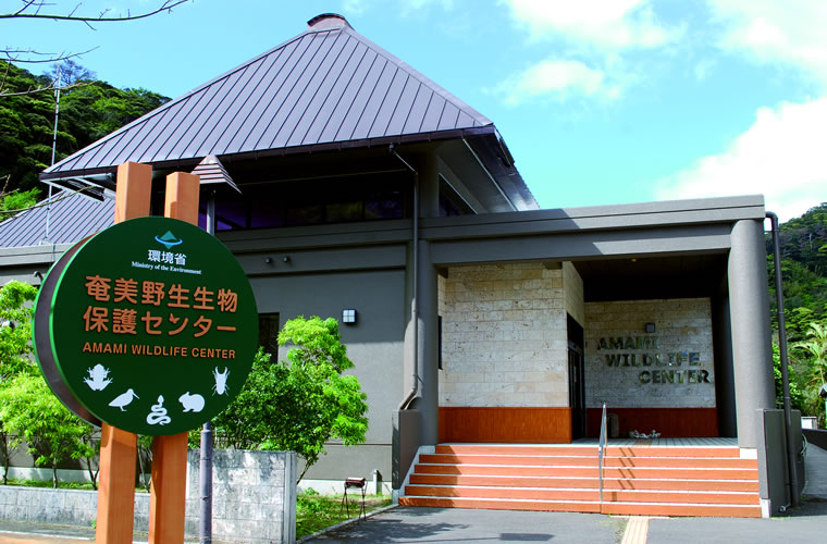 奄美野生生物保護センター　入口