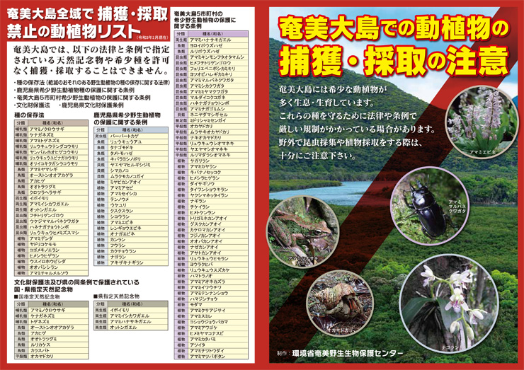 奄美大島での動植物の捕獲・採取の注意