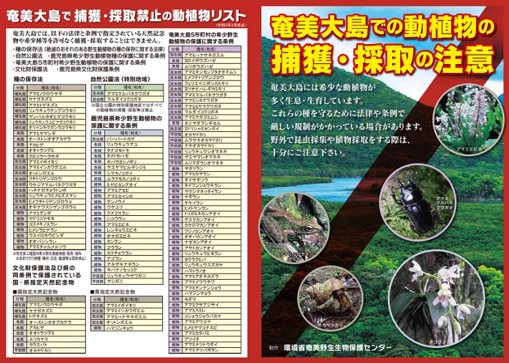 奄美大島での動植物の捕獲・採取の注意