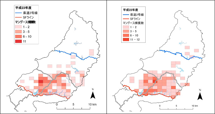 図３．環境省、沖縄県のマングース捕獲状況（左：23年度、右：22年度）