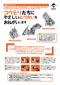 画像：西表島のコウモリたちにやさしい心づかいをおねがいします [PDF 292KB]