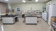 実験室には実験用のテーブルが二つあります。壁側にはサンプルを保存するための冷蔵庫や冷凍庫が二台あります。