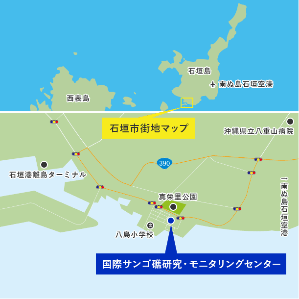 島を上空から見た地図があり西に西表島、東に石垣島があります。空港の位置は石垣島の南東に示されています。そのしたに石垣島の南部の市街地を拡大した地図が示されています。空港から続くバイパス390号線を南下していくと沖縄県立やえやま病院があり、その先の信号を3つ進むと突き当たりがあり、道なりに進んだ先の信号を左折すると国際サンゴ礁研究モニタリングセンターへ到着します。南端のやしま町に位置し、最寄りには八島小学校があります。