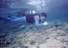ダイバーが潜水してサンゴを観察して記録をとっています。