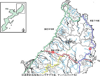 交通事故発生地点(ノグチゲラ左、ヤンバルクイナ右)