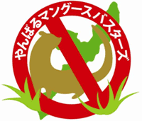 DG܉摜2